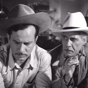 Bilder La Oveja Negra