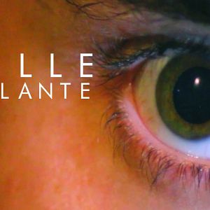 Bilder Pupille Pétillante