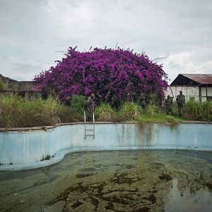 Bilder This Is Congo