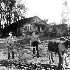 Bilder Unser tägliches Brot