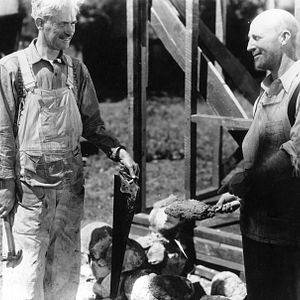 Bilder Unser tägliches Brot