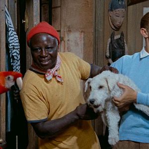 Bilder Tim und Struppi... und das Geheimnis des goldenen Vlieses