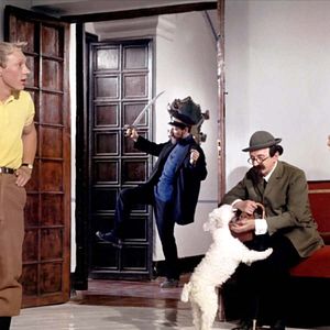 Bilder Tim und Struppi und die blauen Orangen