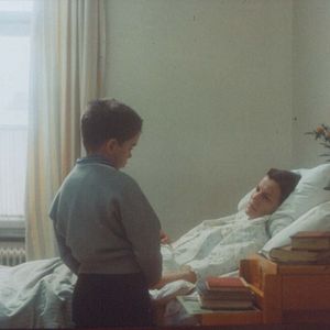 Bilder Mein Leben als Hund