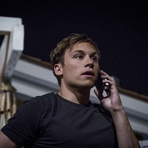 Bilder Animal Kingdom