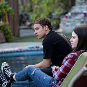 Bilder Animal Kingdom