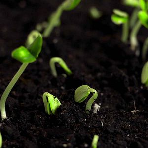 Bilder Des Clics de Conscience