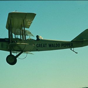 Bilder Tollkühne Flieger