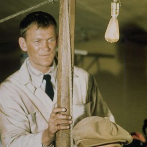 Bilder Tollkühne Flieger