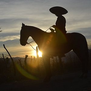 Bilder Los Jinetes del Tiempo