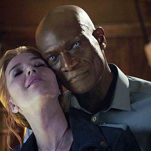 Bilder Arielle Kebbel