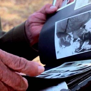 Bilder La Danza del Hipocampo