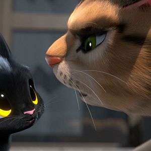 Bilder Rudolf, der schwarze Kater