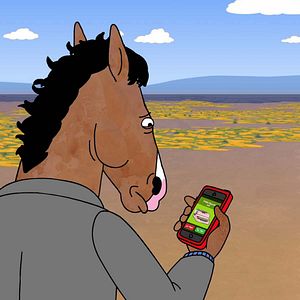 Bilder BoJack Horseman