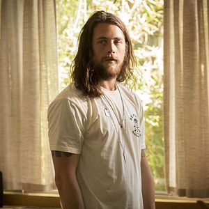 Bilder Animal Kingdom