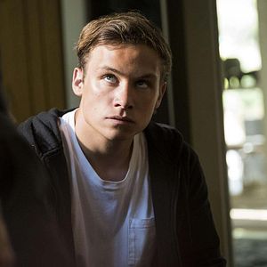 Bilder Animal Kingdom