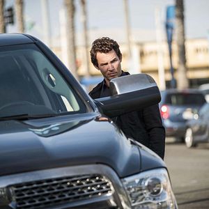 Bilder Animal Kingdom