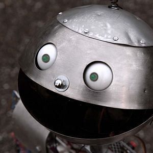 Bilder Day Of The Comet