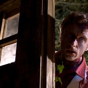 Bilder Day Of The Comet