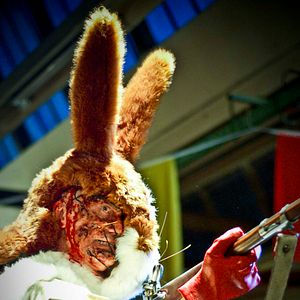 Bilder Day Of The Comet