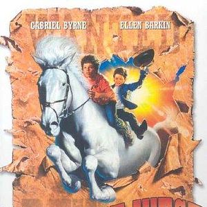 Bilder Das weiße Zauberpferd