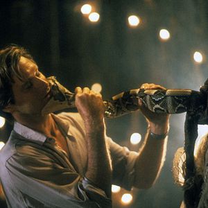 Bilder Die Schlange im Regenbogen