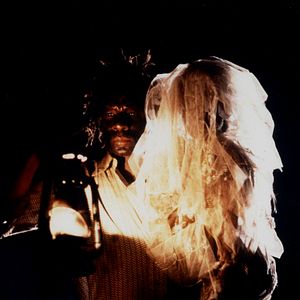 Bilder Die Schlange im Regenbogen