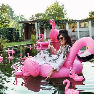 Bilder High Society - Gegensätze ziehen sich an