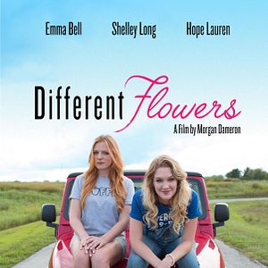 Bilder Different Flowers