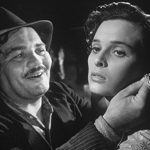 Bilder Under the Olive Tree