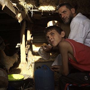 Bilder Von Schafen und Männern