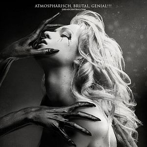 Bilder A Night Of Horror