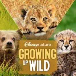 Bilder Growing Up Wild