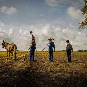 Bilder Mudbound
