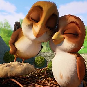 Bilder Überflieger - Kleine Vögel, großes Geklapper