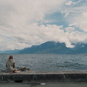 Bilder Animals - Stadt Land Tier