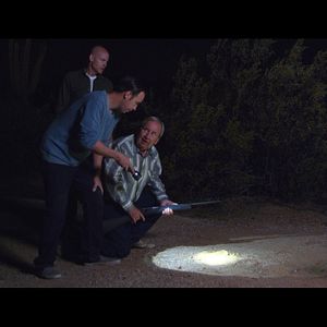 Bilder Michael Harrelson