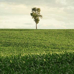 Bilder Zeit für Stille