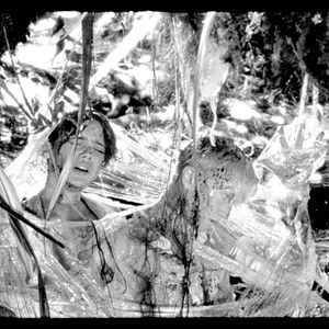 Bilder The Wild Boys