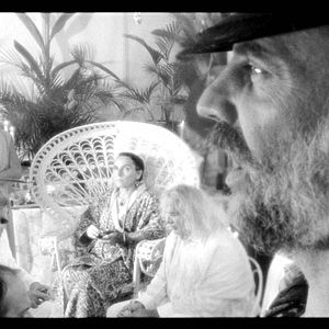 Bilder The Wild Boys