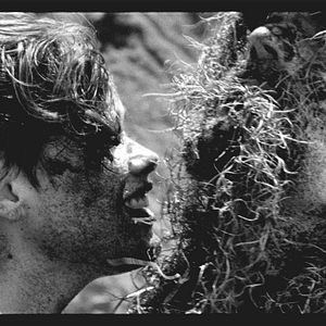 Bilder The Wild Boys