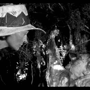 Bilder The Wild Boys