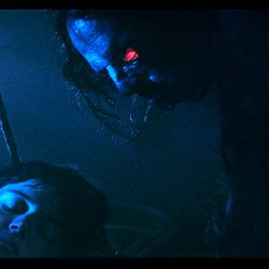 Bilder The Wild Boys