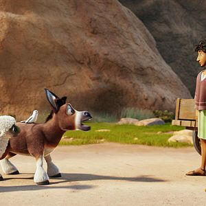 Bilder Bo und der Weihnachtsstern