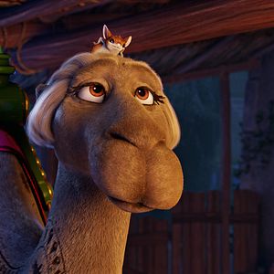 Bilder Bo und der Weihnachtsstern