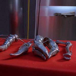 Bilder Die Unzertrennlichen