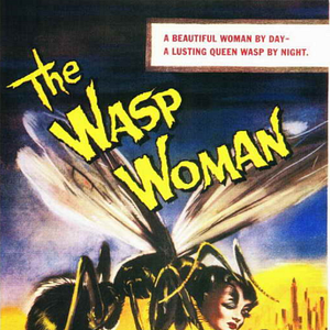 Bilder Die Wespenfrau