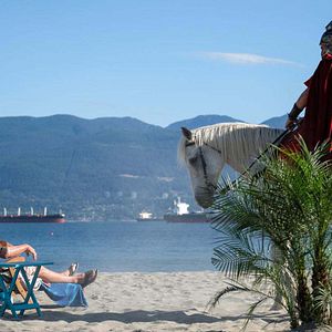 Bilder Dominic Purcell