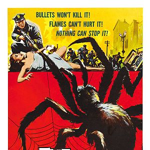 Bilder Die Rache der schwarzen Spinne