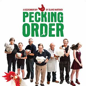 Bilder Pecking Order